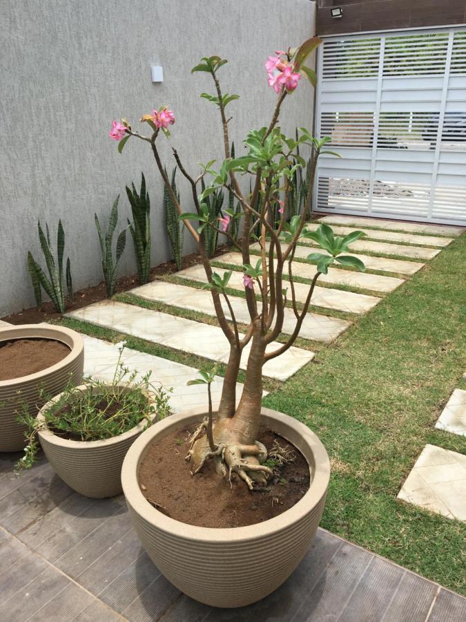 Casa De Praia Tamandaré מראה חיצוני תמונה
